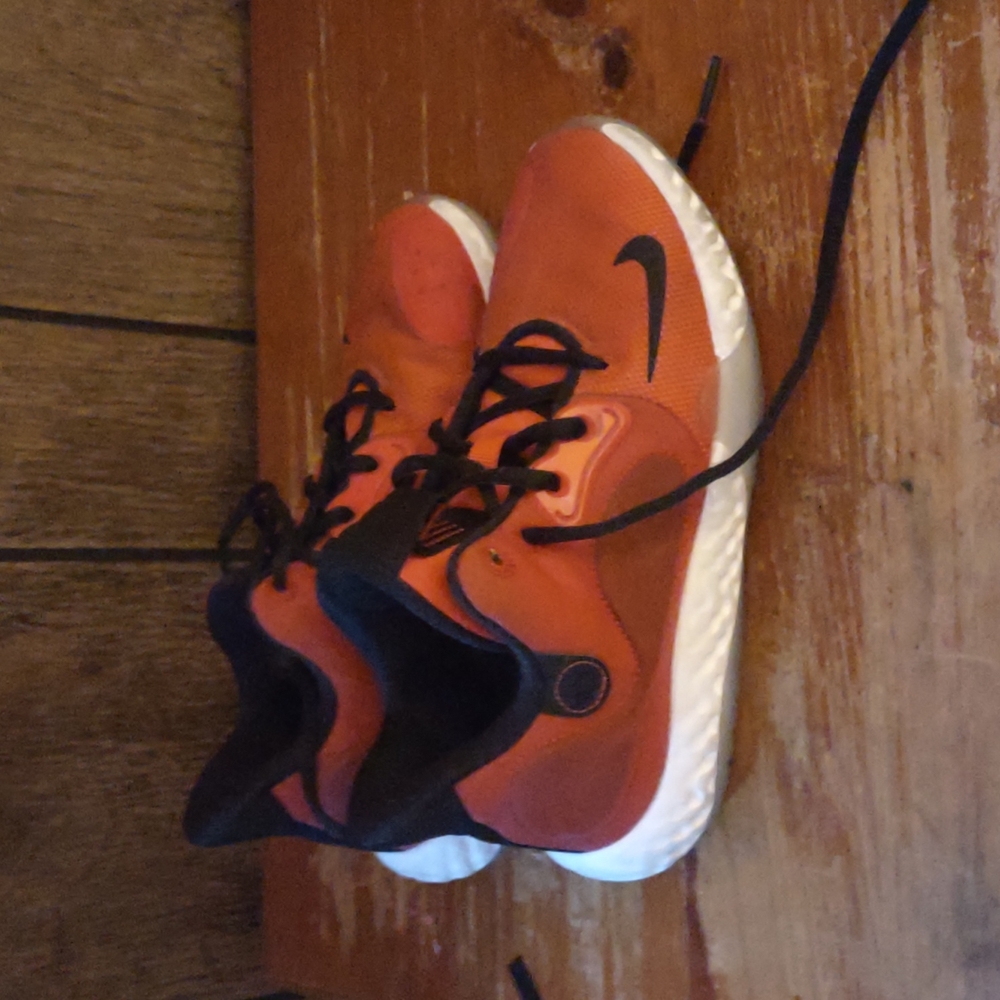 KD shoes